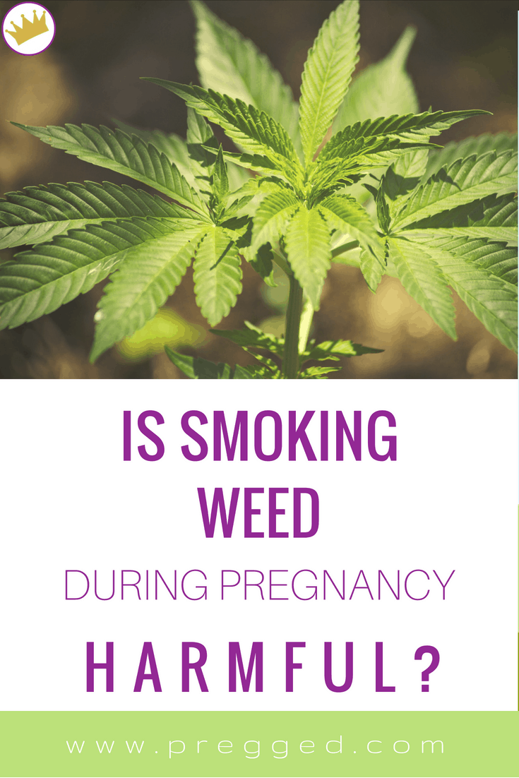 Is Smoking Marijuana in Pregnancy Harmful?