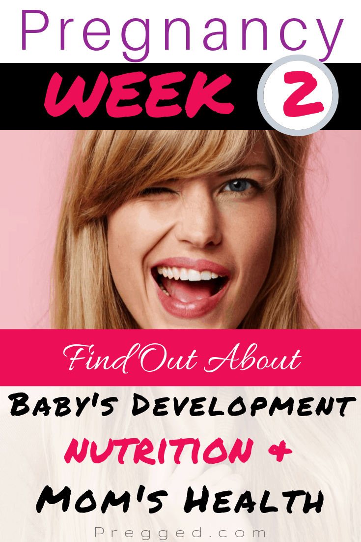 Find out everything you ever wanted to know about Week 2 of Pregnancy. Our obsterician takes you through moms health, baby's development and nutrition at this critical stage.... #pregnancy #pregnancyweeks #pregnancytips #pregnancyadvice #nutrition