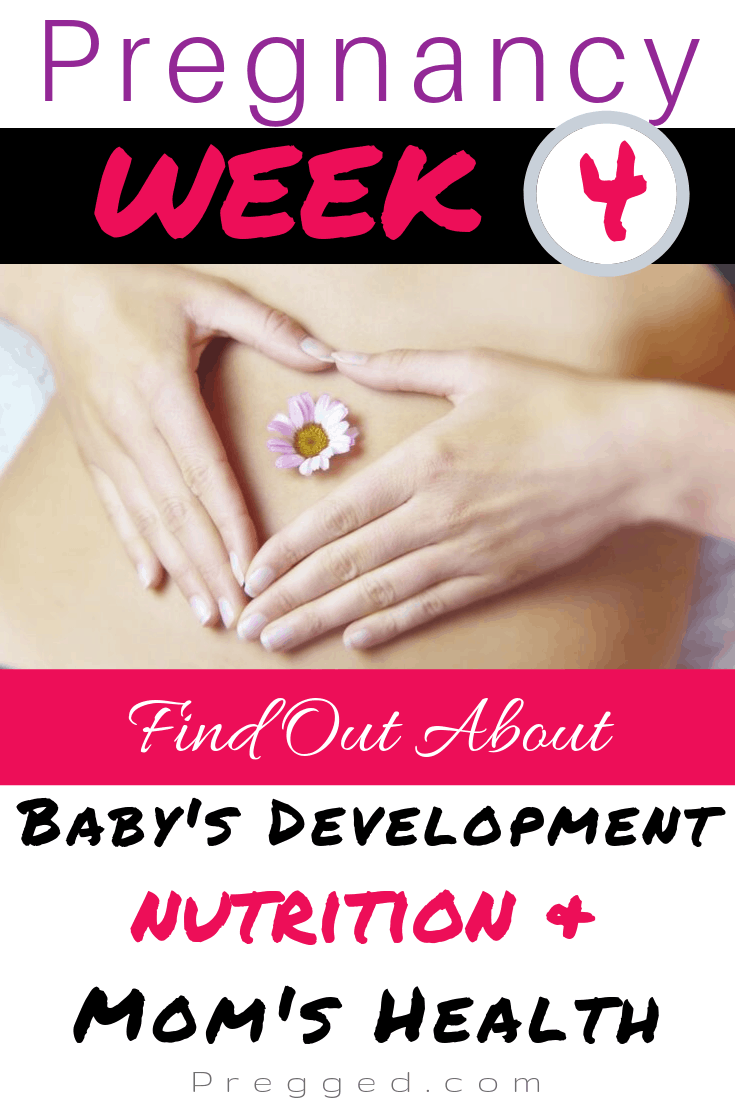 What's happening inside you when you're 4 Weeks pregnant? How is the fetus developing and what might you be experiencing? Also, do you know what to eat for a healthy pregnancy? Find out all about Week 4 of Pregnancy here. BY Obstetrician Dr Kim Langdon #pregnancy #weekbyweek #pregnancytips #pregnancy advice #pregnancydiet