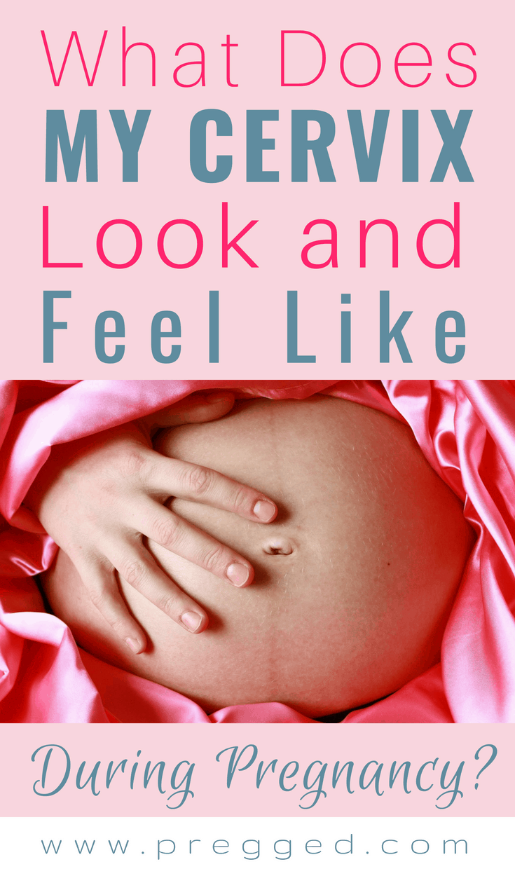 What Does Your Cervix Feel Like When Pregnant Pregged