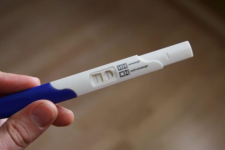 Negative Pregnancy Test But No Period 10 Common Reasons Why 0029