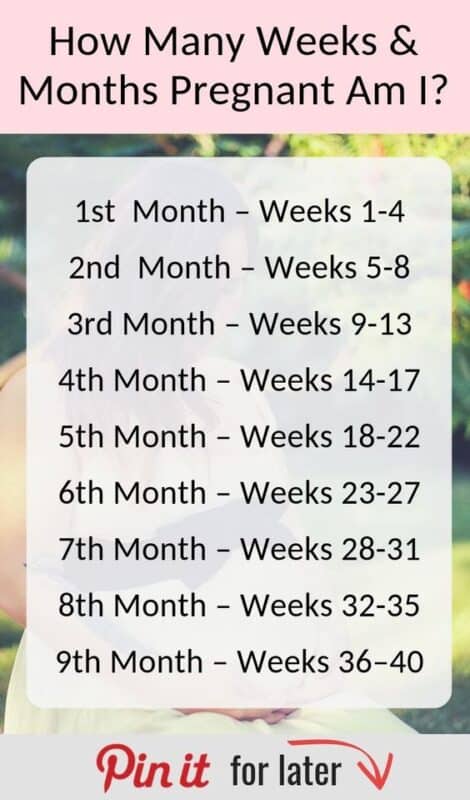 how-to-convert-weeks-into-months-during-pregnancy-pregged